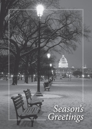Capitol Snowfall Holiday Card