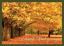 Canopy of Gold Thanksgiving Card