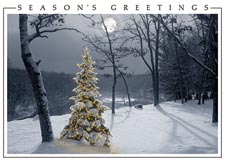 Moonlit Tree Holiday Greeting Cards