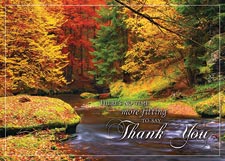 Splashes of Color Thanksgiving Card