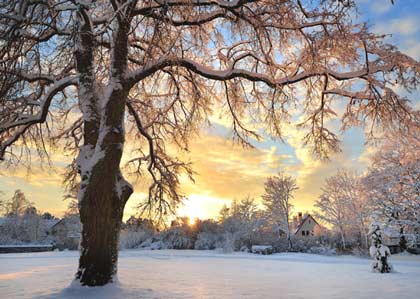 Winter Sunrise charity holdiay card supporting Environmental Defense Fund