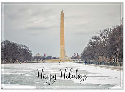 Snow On The Washington Mall Business Holiday Cards