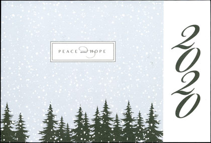 Serene Snowfall Checkerboard Holiday and Christmas Cards