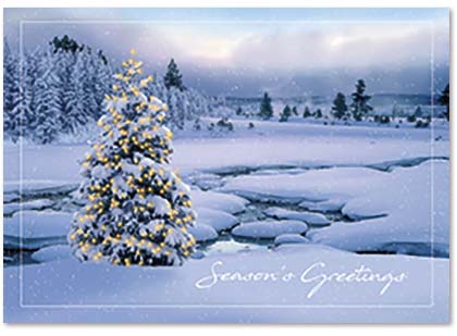 Breathtaking Seasons Greetings Holiday Card