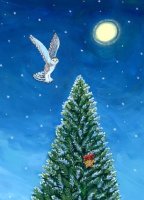 Snowy Owl charity holiday cards support the Environmental Defense Fund.  The cards are printed on 12 pt.  coated recycled paper.  The card includes a white, unlined, square flap envelope.
