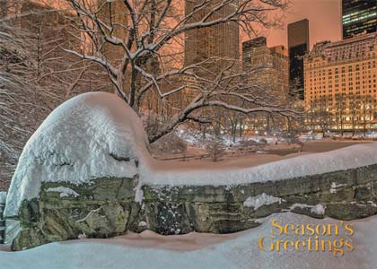 Gapstow Bridge in Central Park