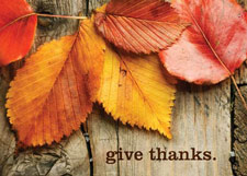 Give Thanks Holiday Card