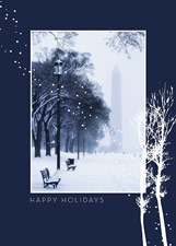 Snowfall on the Mall Holiday Card