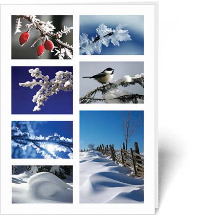 Environmental Defense Fund Frost Winter charity holiday card
