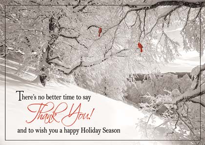 Gloriouis Thanks Holiday Cards