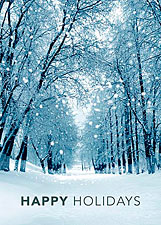Snowy Winter Path Holiday Card